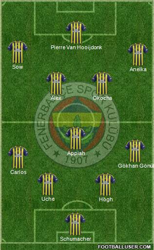 Fenerbahçe SK Formation 2013