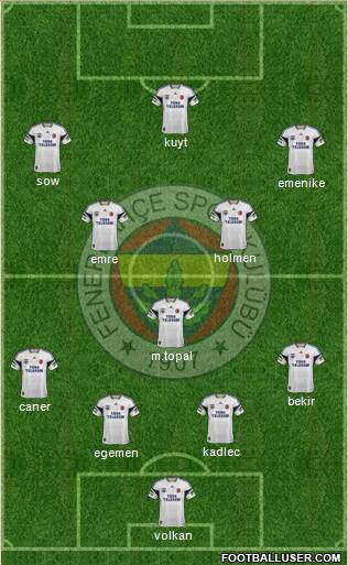 Fenerbahçe SK Formation 2013