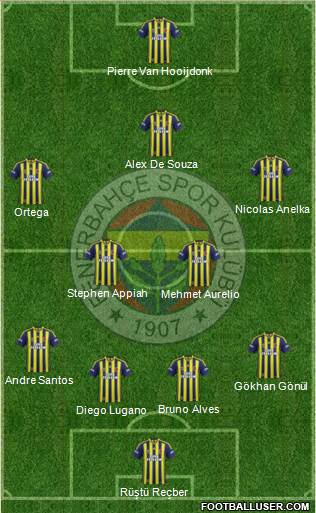 Fenerbahçe SK Formation 2013