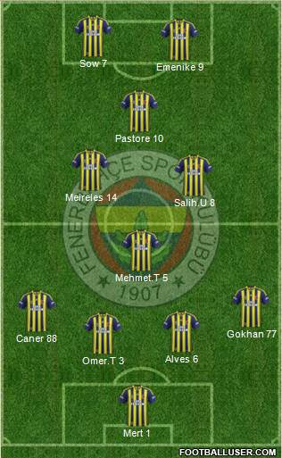 Fenerbahçe SK Formation 2013