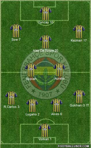 Fenerbahçe SK Formation 2013