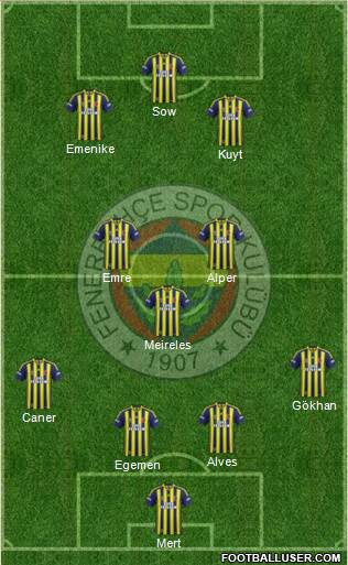 Fenerbahçe SK Formation 2013