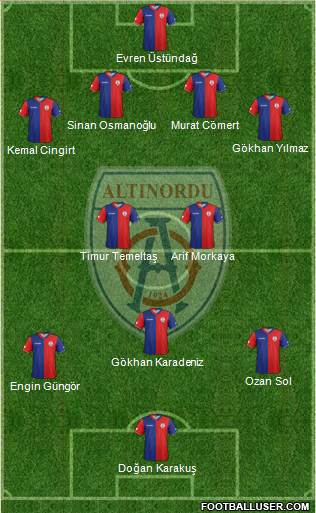 Altinordu Formation 2013