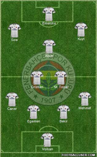 Fenerbahçe SK Formation 2013