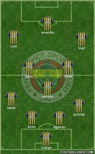 Fenerbahçe SK Formation 2013