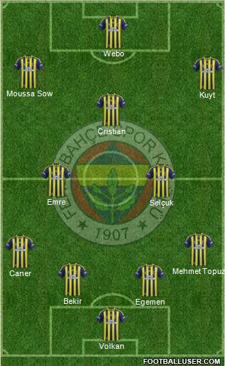 Fenerbahçe SK Formation 2013