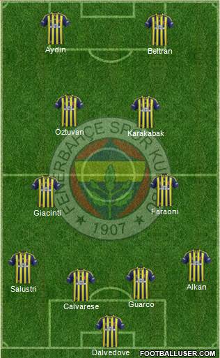 Fenerbahçe SK Formation 2013