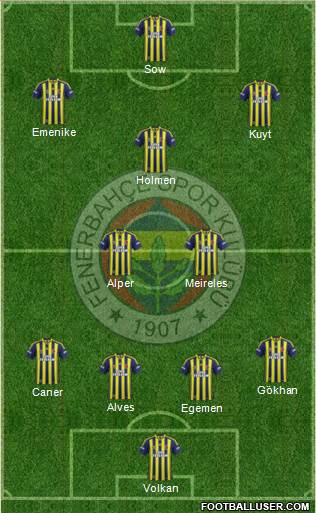 Fenerbahçe SK Formation 2013