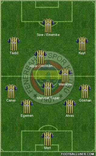 Fenerbahçe SK Formation 2013