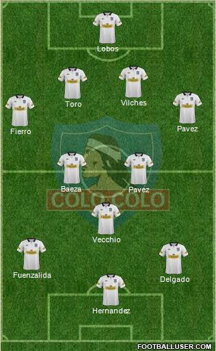 CSD Colo Colo Formation 2013