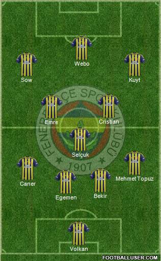 Fenerbahçe SK Formation 2013