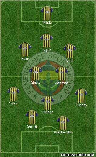 Fenerbahçe SK Formation 2013