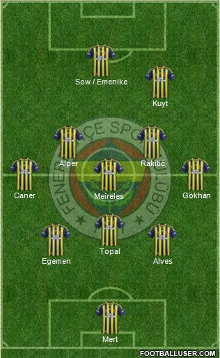 Fenerbahçe SK Formation 2013