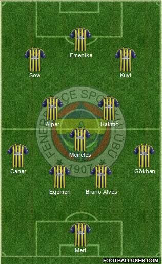 Fenerbahçe SK Formation 2013