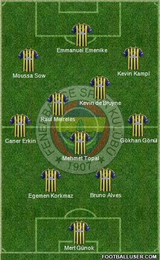 Fenerbahçe SK Formation 2013