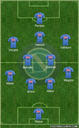 Napoli Formation 2013