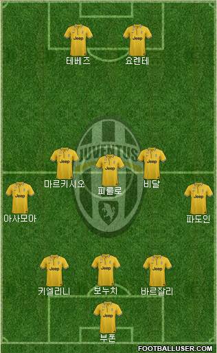 Juventus Formation 2013