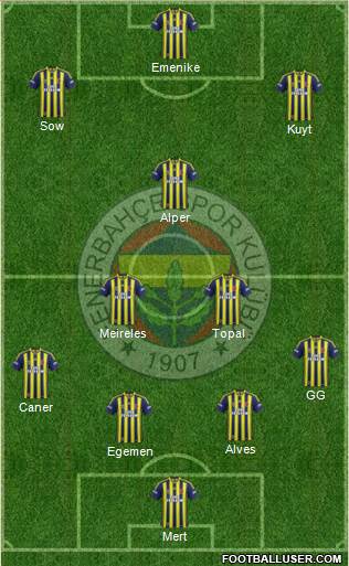 Fenerbahçe SK Formation 2013