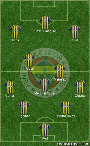 Fenerbahçe SK Formation 2013