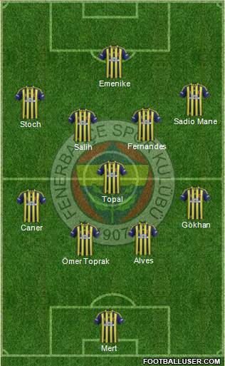 Fenerbahçe SK Formation 2013