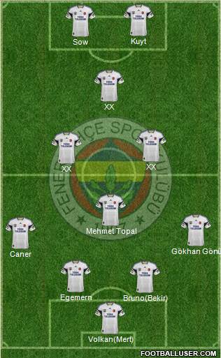 Fenerbahçe SK Formation 2013