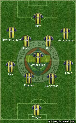 Fenerbahçe SK Formation 2013