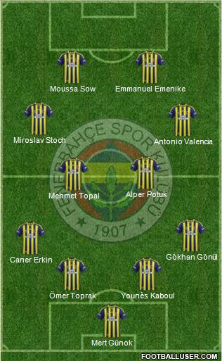 Fenerbahçe SK Formation 2013