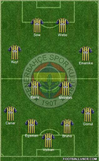 Fenerbahçe SK Formation 2013