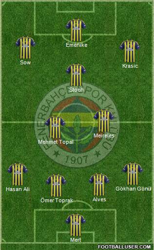 Fenerbahçe SK Formation 2013