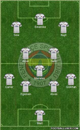 Fenerbahçe SK Formation 2013
