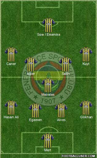 Fenerbahçe SK Formation 2013