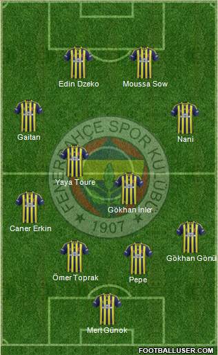 Fenerbahçe SK Formation 2013