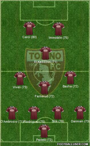 Torino Formation 2013