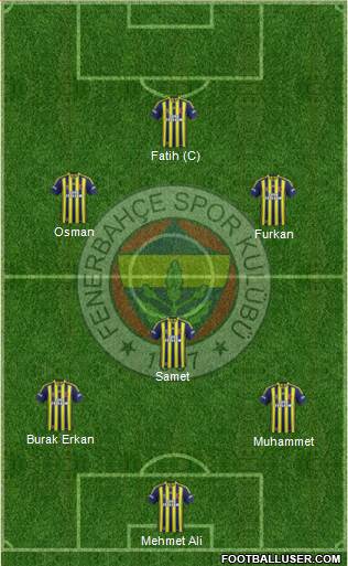 Fenerbahçe SK Formation 2013