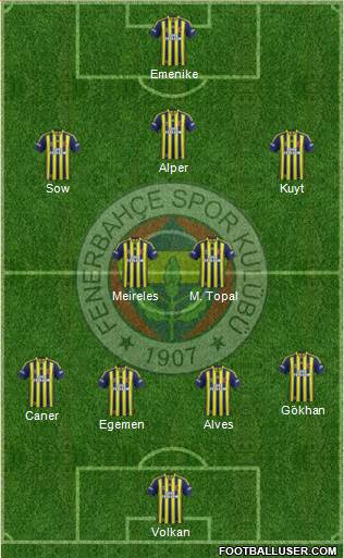 Fenerbahçe SK Formation 2013