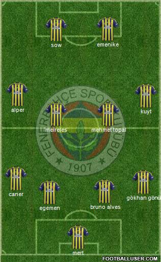 Fenerbahçe SK Formation 2013