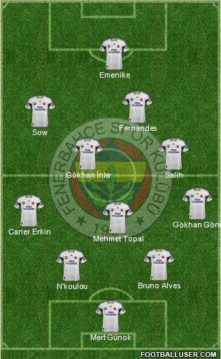 Fenerbahçe SK Formation 2013