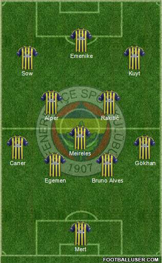 Fenerbahçe SK Formation 2013
