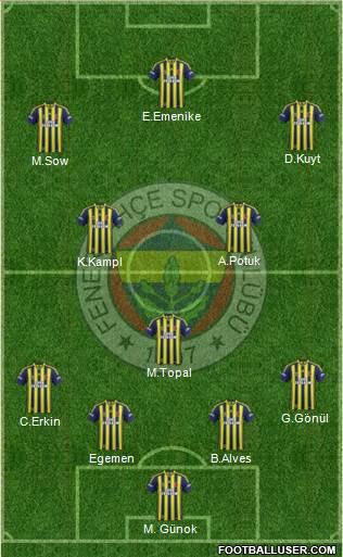 Fenerbahçe SK Formation 2013