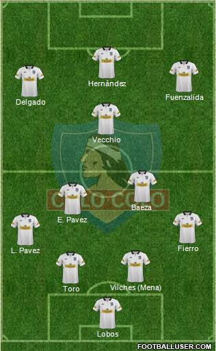 CSD Colo Colo Formation 2013
