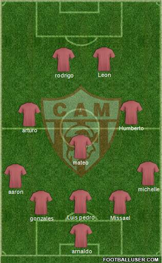 Atlético Minero Formation 2013