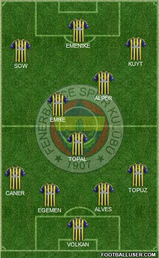 Fenerbahçe SK Formation 2013
