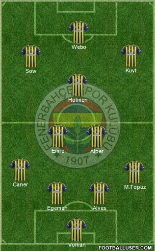 Fenerbahçe SK Formation 2013