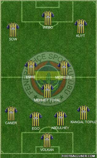 Fenerbahçe SK Formation 2013