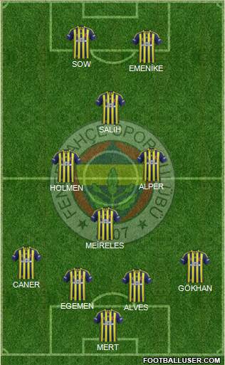 Fenerbahçe SK Formation 2013