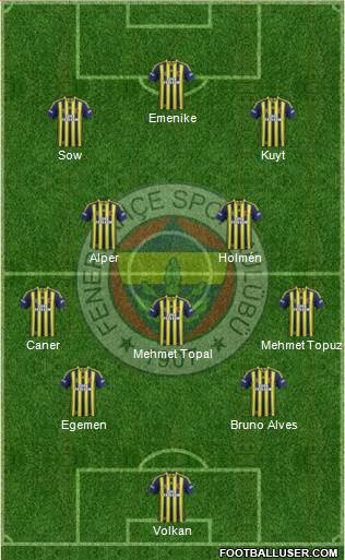 Fenerbahçe SK Formation 2013