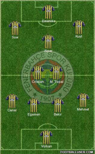 Fenerbahçe SK Formation 2013