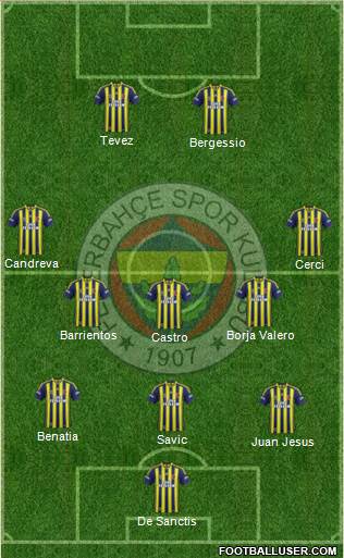 Fenerbahçe SK Formation 2013