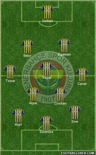 Fenerbahçe SK Formation 2013