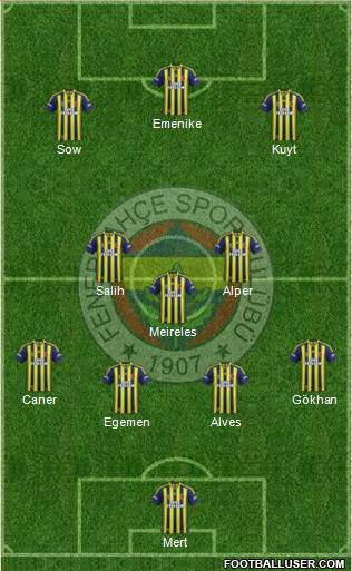 Fenerbahçe SK Formation 2013